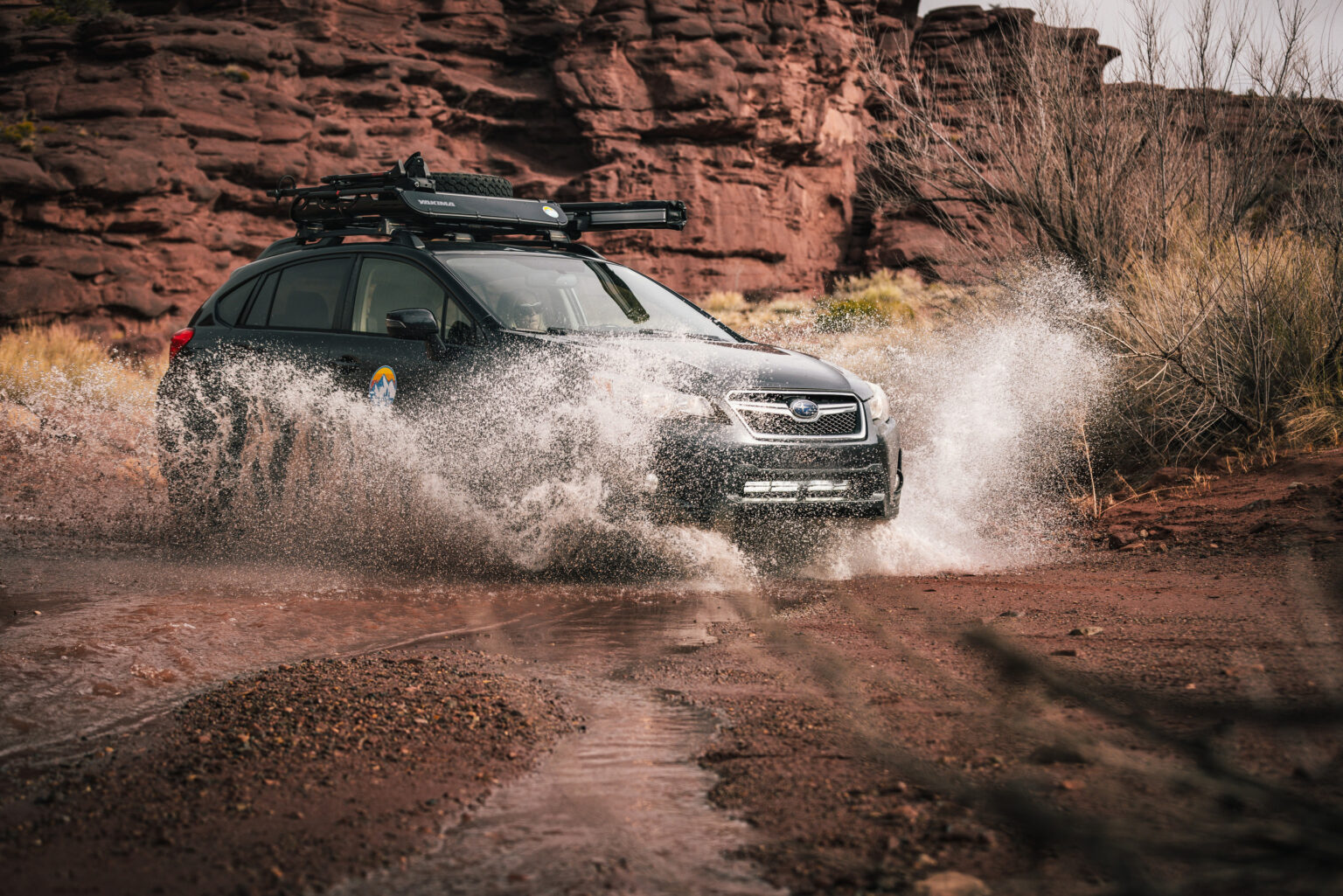 BILSTEIN Debuts B8 TerraSport Shocks at Overland Expo West - BILSTEIN